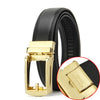 Two-layer Cowhide Fake Needle Automatic Buckle Men's Special Belt